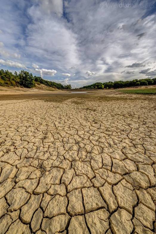 11863503_1672561056320060_609090511682808312_n