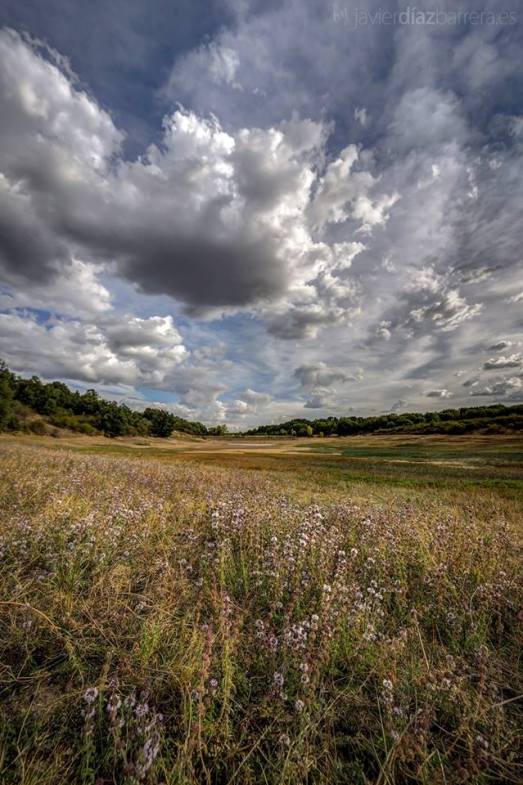 12004710_1672561002986732_4819542838180179117_n