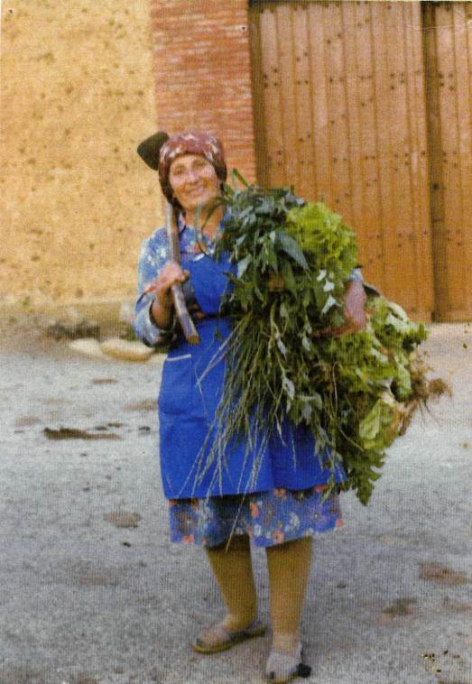 141 Nieves con verdura