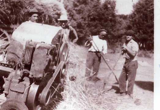 156 primera trilladora, no parece ser de Santa Maria